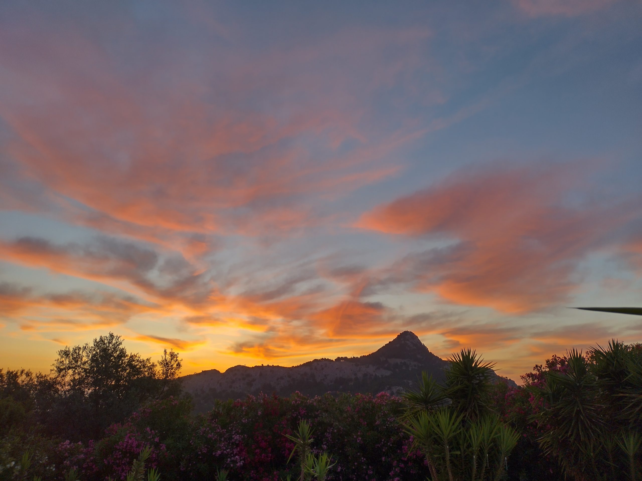Mount tsambika view from villa Odysseus Rhodes (from news)